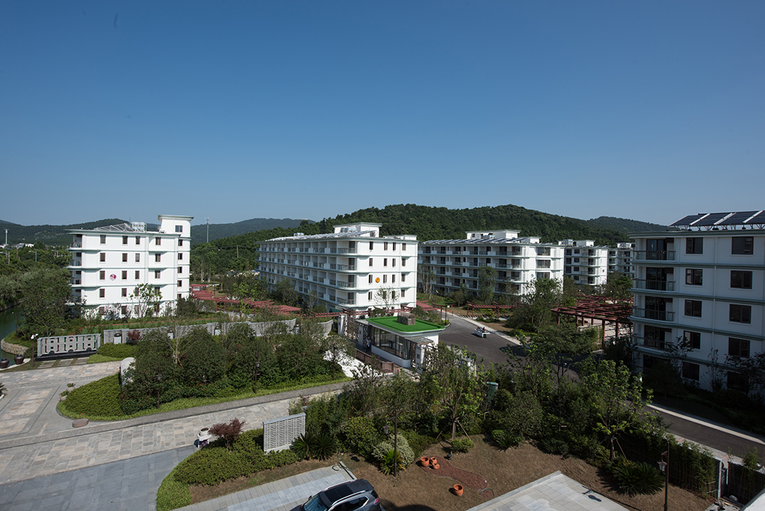 DSC_61061.jpg